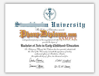 Stockholm University - Fake Diploma Sample from Sweden